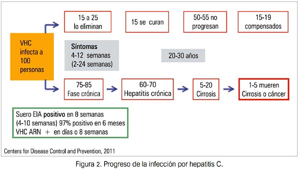 Hepatitis C Y Tatuajes: ¿Se Puede Contraer La Hepatitis Por Los Tatuajes?
