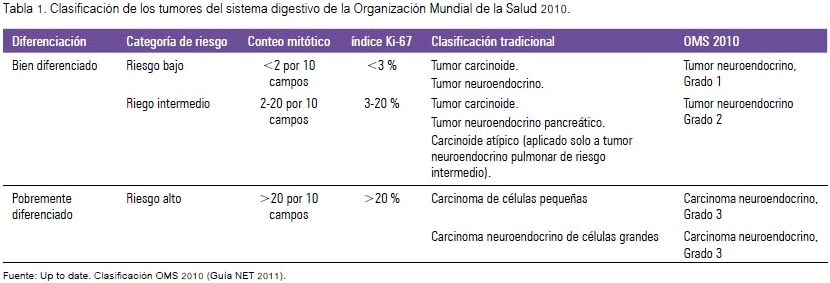 cancer neuroendocrino pronostico)