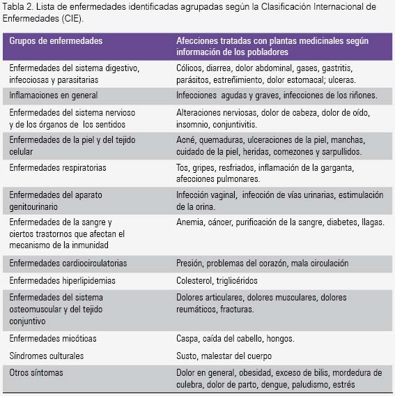 6 plantas medicinales que cuidan tus ojos - Foto 1