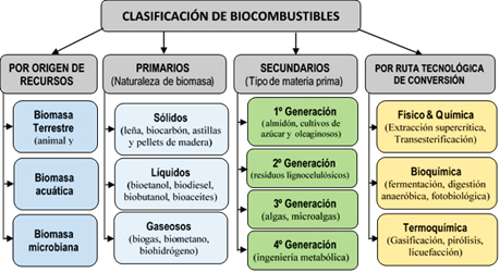 Biocombustibles: ventajas del carbón vegetal y los pellets - Ecologia Util