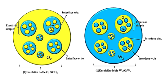 3. Location of the emulsifier at the oil/water interface in an O/W