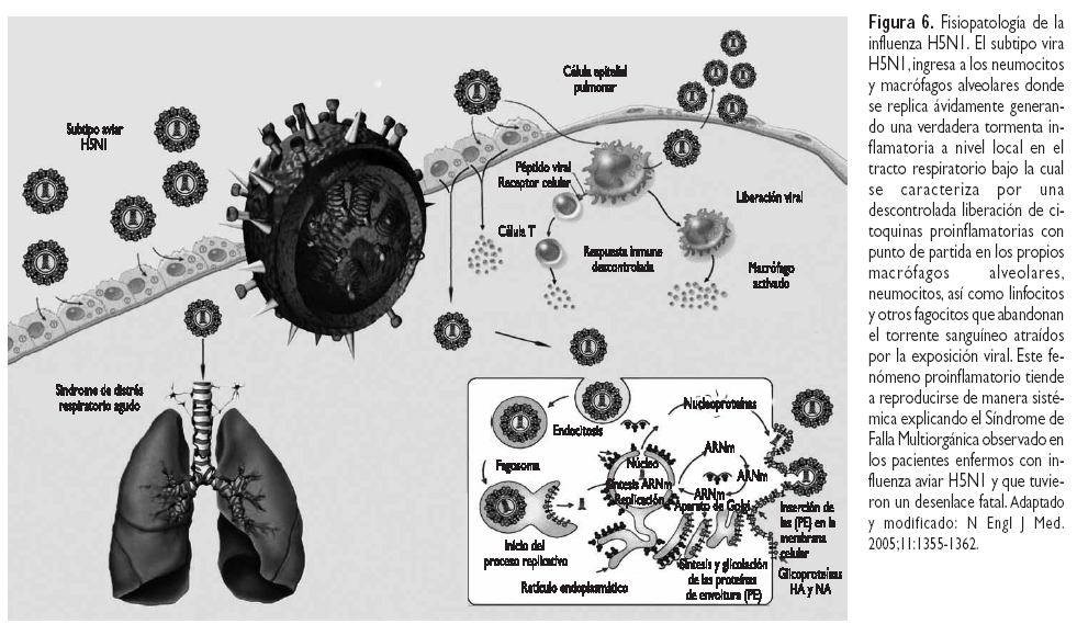 Encefalitis Viral En Pediatria Pdf