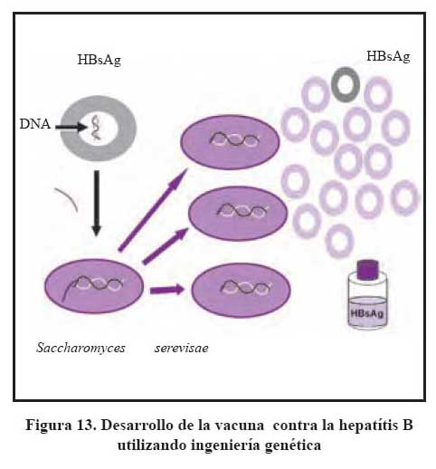 Cuales son los mecanismos de transmision del vih y hepatitis b