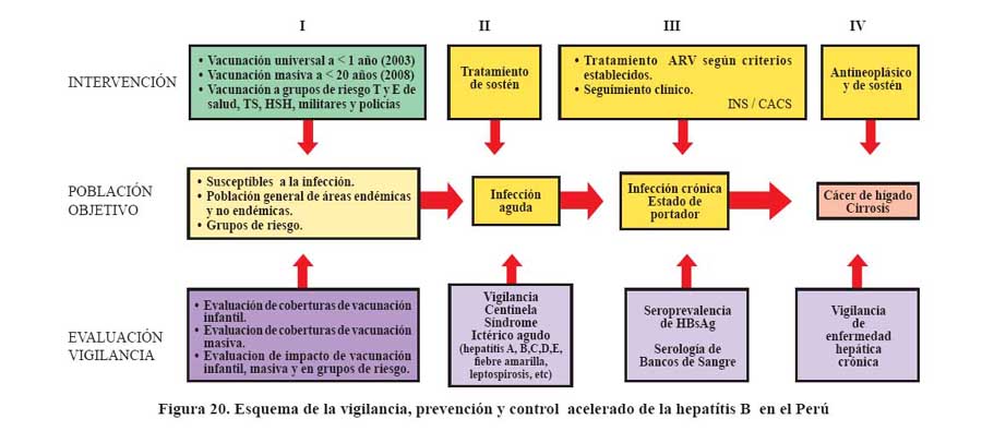 Cuales son los mecanismos de transmision del vih y hepatitis b