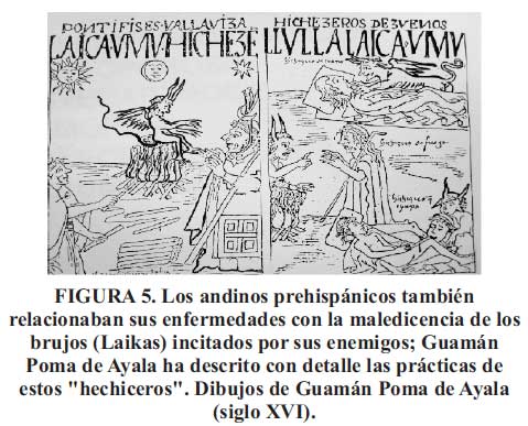 el galeno andino pdf