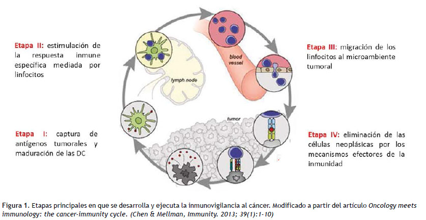 inmunologia de rojas 13 edicion pdf 29