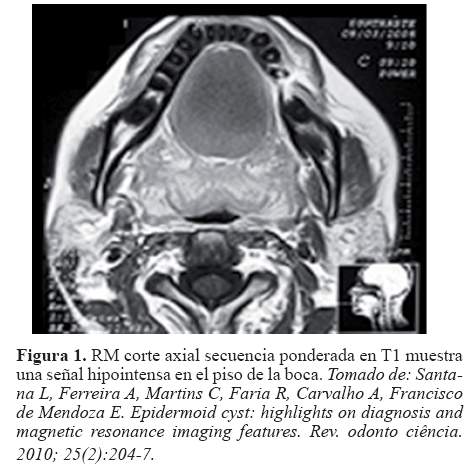 Descripción: Descripción: C:\SciELO\serial\reh\v25n4\img\revistas\reh\v25n4\a09f1.jpg