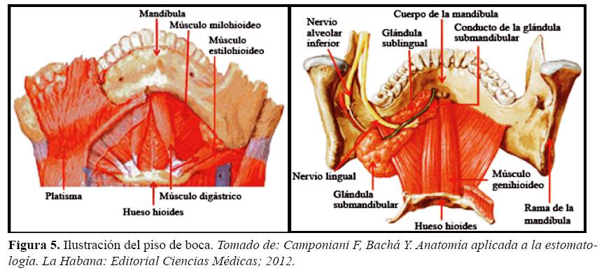 Descripción: Descripción: C:\SciELO\serial\reh\v25n4\img\revistas\reh\v25n4\a09f5.jpg