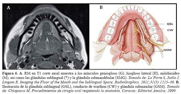 Descripción: Descripción: C:\SciELO\serial\reh\v25n4\img\revistas\reh\v25n4\a09f6.jpg