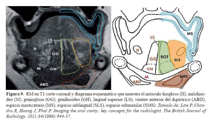 Descripción: Descripción: C:\SciELO\serial\reh\v25n4\img\revistas\reh\v25n4\a09f9.jpg