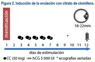 Inhibidores de aromatasa no esteroideos