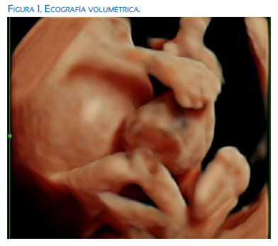 gratacos medicina fetal pdf