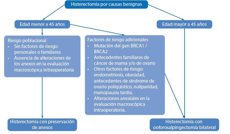 ▷ 2-fibroma-ovarico-histerectomia-ooforectomia-bilateral