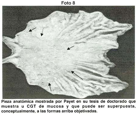 Clasificacion Sakita Miwa.pdf