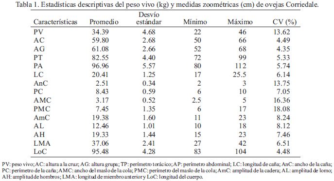 Peso vivo de los corderos mestizos respecto al promedio de las razas