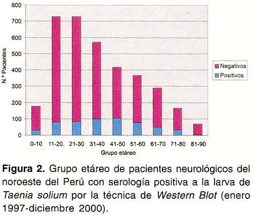 Sintomas De La Cisticercosis Porcina