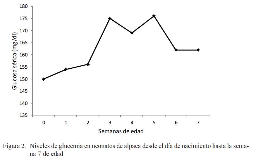 INVESTIGACIONES DE TRANSPORTE investigaciones de transporte:
