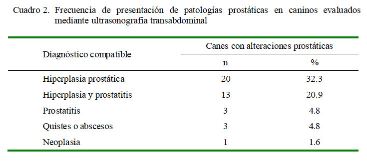 Prosztata normális mérete mm. Nutrición para una próstata sanada