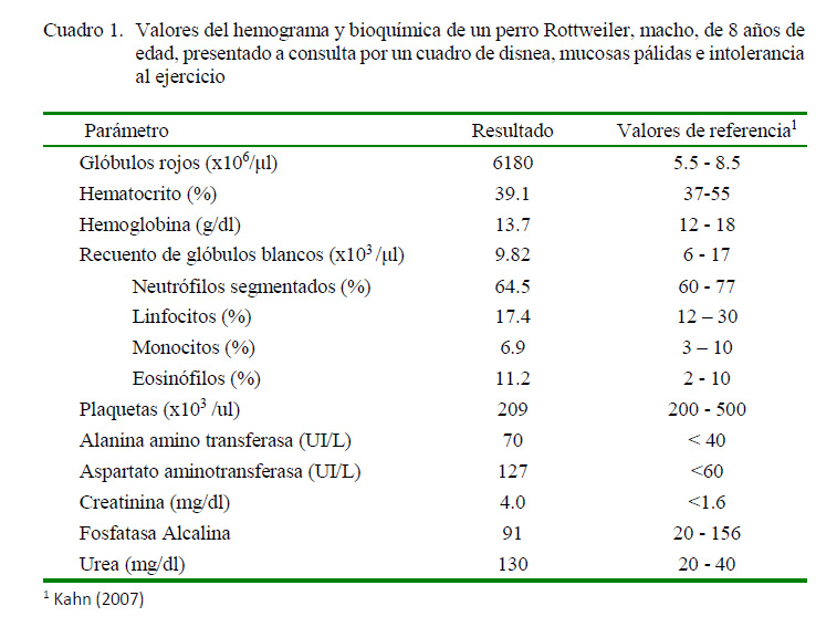 presupuesto Frágil ilegal Hemangiosarcoma Cardiaco Primario en Aurícula Derecha en un Canino Rottweiler de Ocho Años de Edad presupuesto Frágil ilegal Hemangiosarcoma Cardiaco Primario en Aurícula Derecha en un Canino Rottweiler de Ocho Años de Edad