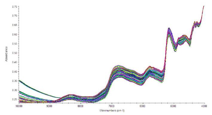 Aplicacion De La Espectroscopia Del Infrarrojo Cercano Nirs Para Determinar El Valor Nutritivo De Variedades De Alfalfa Medicago Sativa L Y Trebol Rojo Trifolium Pratense L