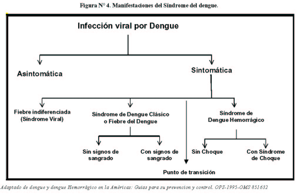 Prueba Del Torniquete Dengue Pdf