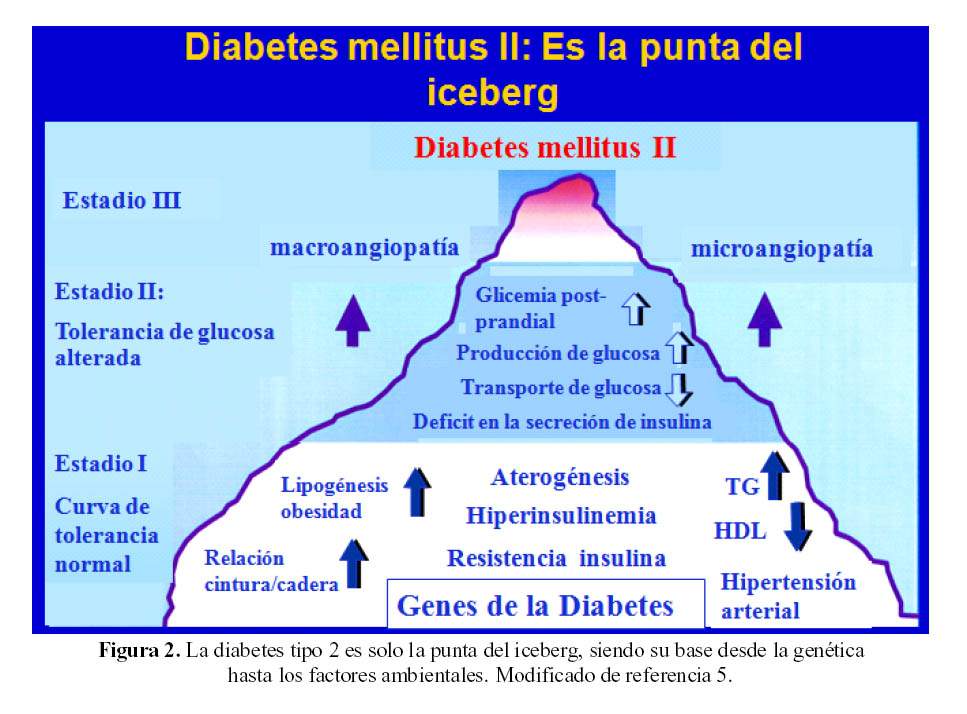 Cetosis y resistencia ala insulina