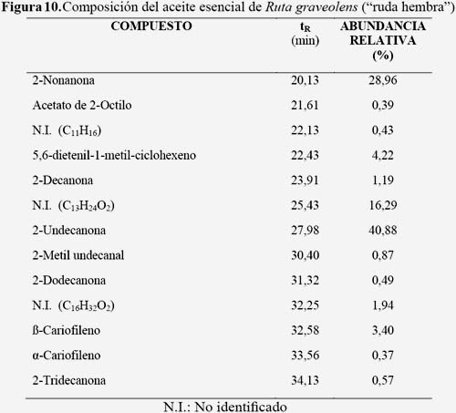 Aceites esenciales: qué son, propiedades y para qué sirve cada uno