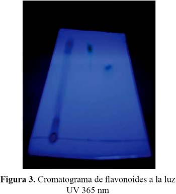 perder peso,demacración,dieta,flavonoides